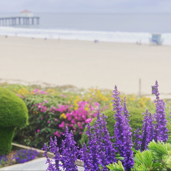 . Check out mycloset buy with confidence - Picture 3 of 14